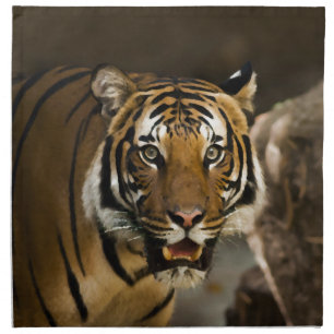 Siberian Tiger Napkin