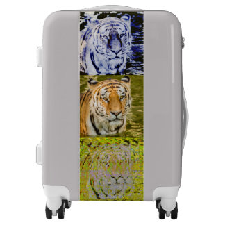siberian tiger on suitcases
