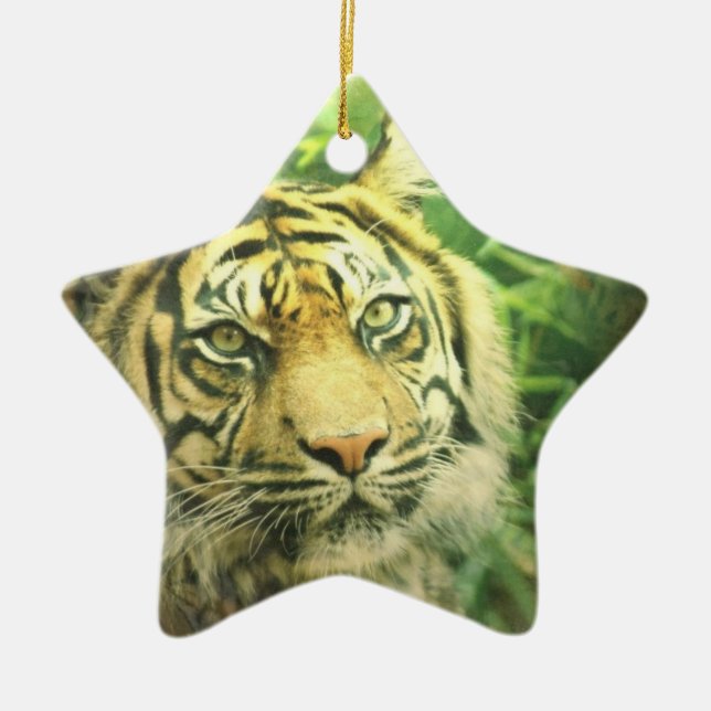 Siberian Tiger Ornament (Front)