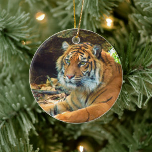 Siberian Tiger Ornament