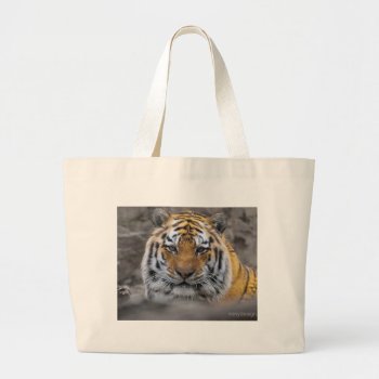 Siberian Tiger Photograph Large Tote Bag by ironydesignphotos at Zazzle