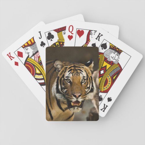 Siberian Tiger Playing Cards