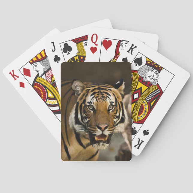 Siberian Tiger Poker Cards (Back)