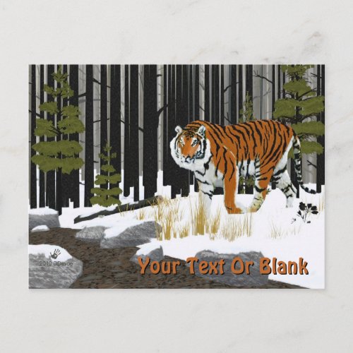 Siberian Tiger Postcard