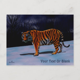 Siberian Tiger Postcard