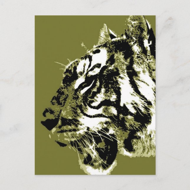 Siberian Tiger Postcard (Front)