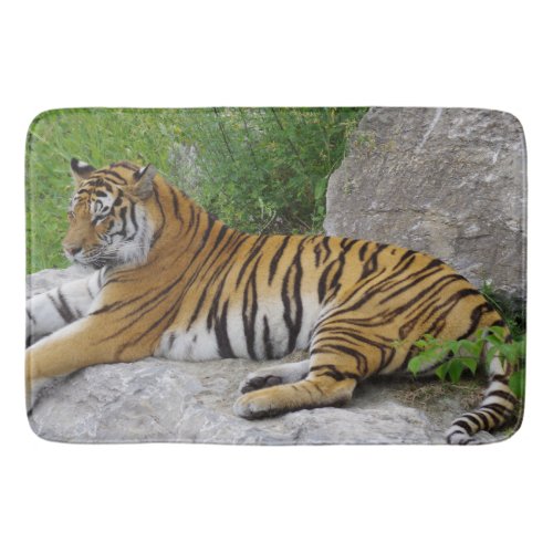 Siberian Tiger Relaxing on a Rock Bath Mat