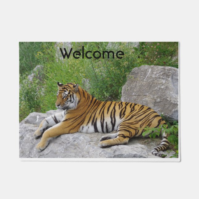 Siberian Tiger Relaxing on a Rock Doormat (Front)