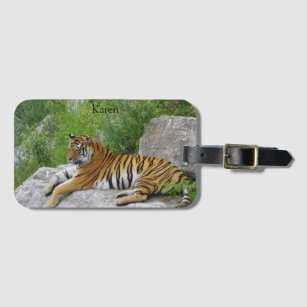 Siberian Tiger Relaxing on a Rock Luggage Tag