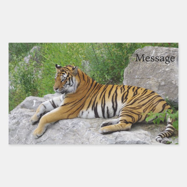 Siberian Tiger Relaxing on a Rock Rectangular Sticker (Front)