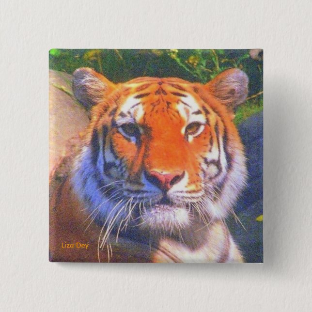 Siberian Tiger Square Button (Front)