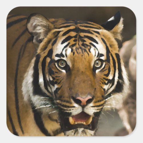 Siberian Tiger Square Sticker