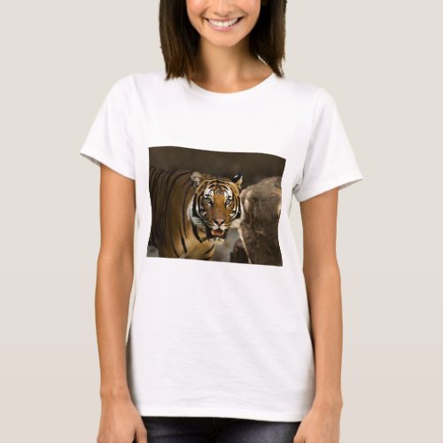 Siberian Tiger T_Shirt