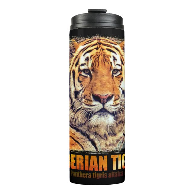 Siberian Tiger Thermal Tumbler (Front)