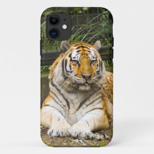 Siberian Tiger Tigress Case-Mate iPhone Case