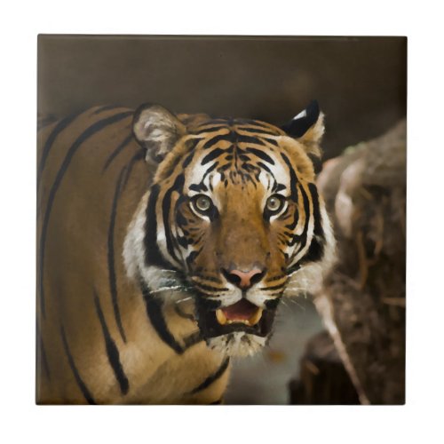 Siberian Tiger Tile