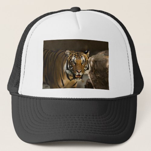 Siberian Tiger Trucker Hat