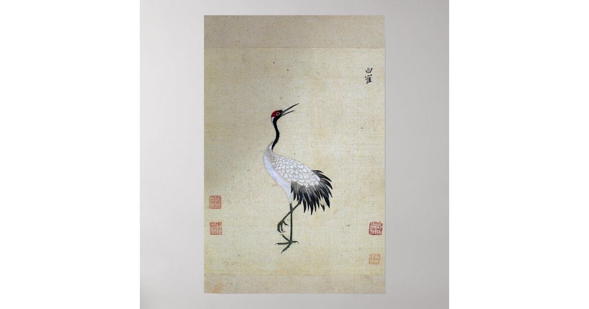 Siberian White Crane Poster | Zazzle
