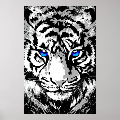 Siberian White Tiger Head _ Tiger Poster Blue Eyes