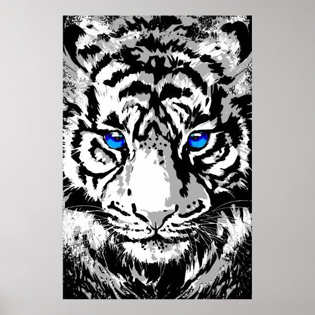 Siberian White Tiger Head - Tiger Poster Blue Eyes (Front)