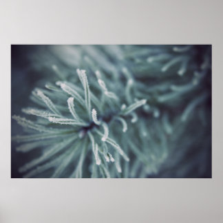 Siberian Winter 3 Poster