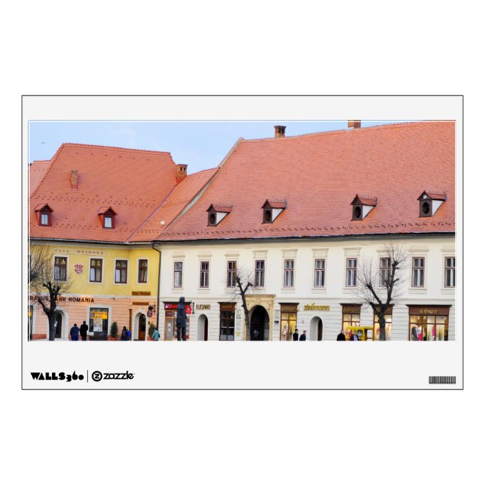 Sibiu architecture wall skin