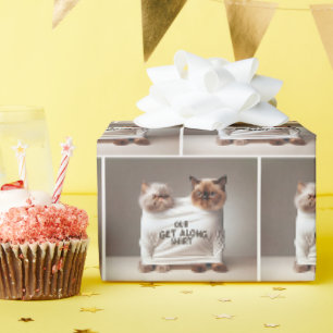 Sibling Cats Wearing Get Along Shirt Wrapping Paper