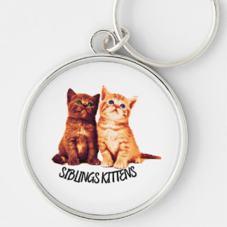 Siblings kittens, two cute cats keychain