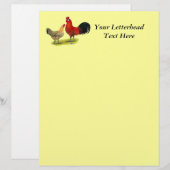 Sicilian Buttercup Chickens (Front/Back)