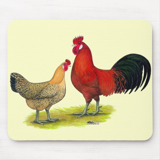 Sicilian Buttercup Chickens Mouse Pad (Front)