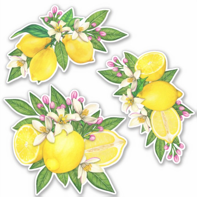 Sicilian Mediterranean Lemon Citrus Floral Sticker (Front)
