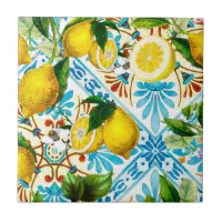 Mediterranean Tile Fruit Blanket Greek Sicilian Santorini 