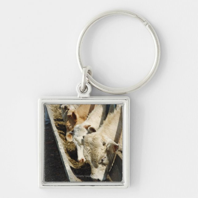 Sicily, Italy Keychain (Front)