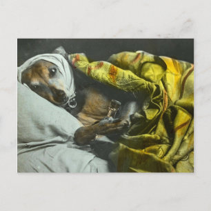 Sick as a Dog Get Well Soon Vintage Magic Lantern Postcard