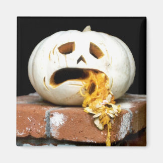 Sick Pumpkin Magnet - "Barfy"