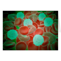Sickle Cell Anemia With Red Blood Cells