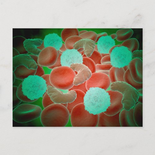 Sickle Cell Anemia With Red Blood Cells Postcard