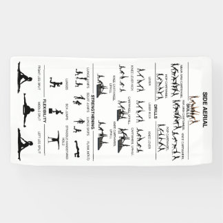 Side Aerial Mastery Banner