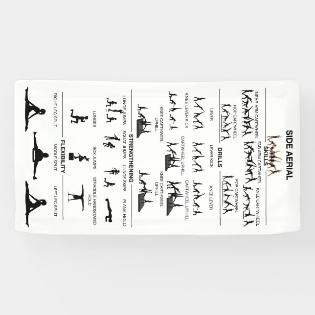 Side Aerial Mastery Banner (Horizontal)