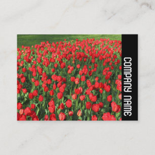 Side Band - Bed of Red Tulips 02 Business Card