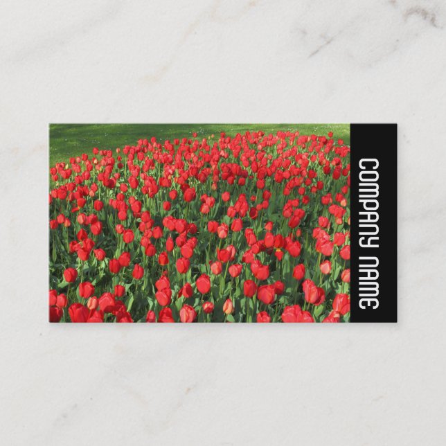 Side Band - Bed of Red Tulips 02 Business Card (Front)