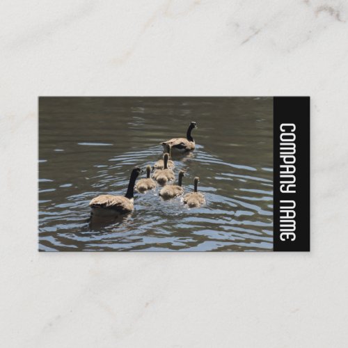 Side Band _  Canada Geese with Goslings Business Card