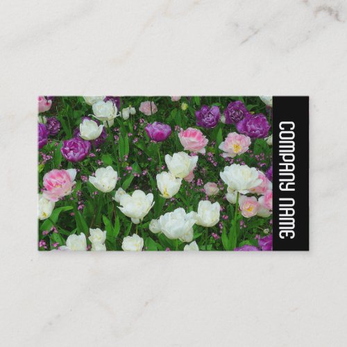 Side Band _ Colorful Tulips Business Card