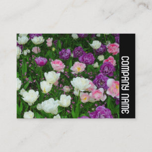 Side Band - Colorful Tulips Business Card
