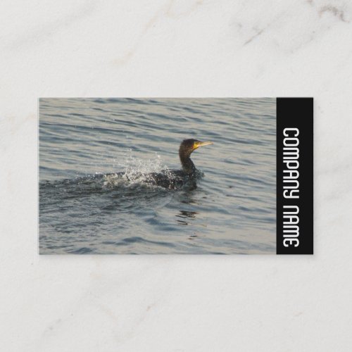 Side Band _ Cormorant Learning to Swim Business Card