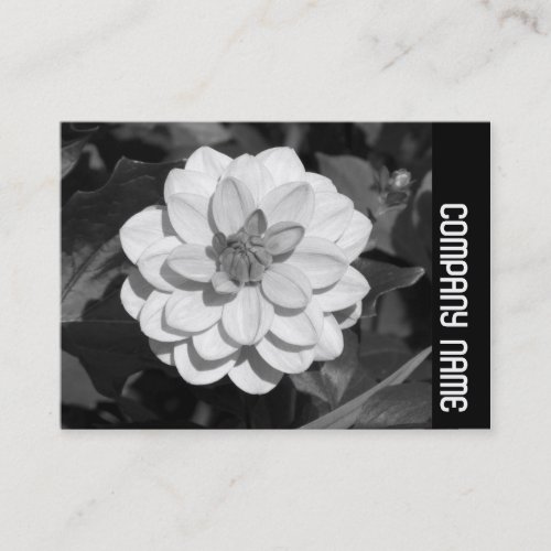 Side Band _ Dahlia David Howard Business Card