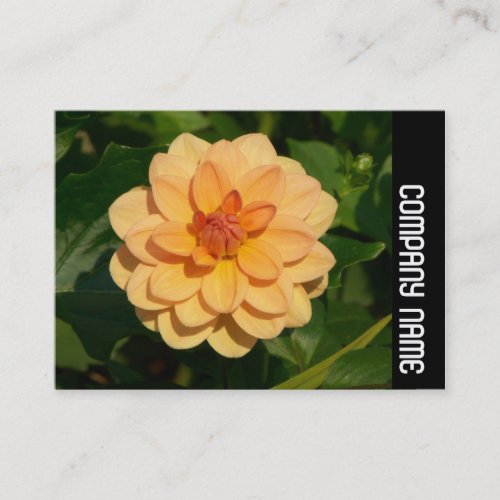 Side Band _ Dahlia David Howard Business Card