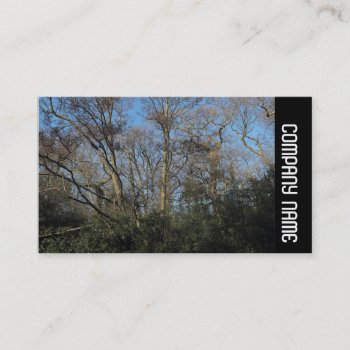 Side Band -  Dancing Trees Business Card by artberry at Zazzle