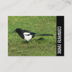 Side Band - European Magpie Business Card