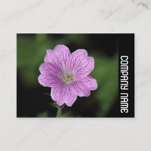 Side Band _ Geranium Endressii Business Card